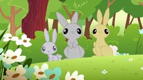 Rabbits S1E23