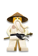Sensei Wu Illustration