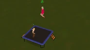 Trampolinejump
