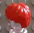 RedHarryHair