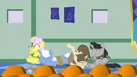 Examiners dropped down S1E23
