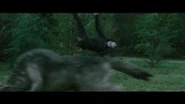 250px-Alice jump5