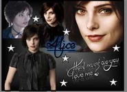 Thumbnail3