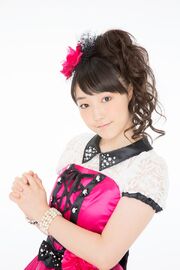 Fukumura 01 img