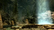 AncestorGlade02