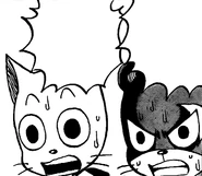Reaction to Rabbit is Nichiya