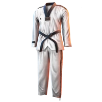 Huge item taekwondouniform 01