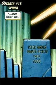 The Spider's Grave