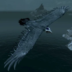 BoneHawk