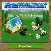 Sunshine Doghouse Loading Screen