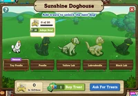 Sunshine Doghouse Inside