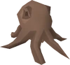 Octopus detail