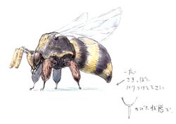 Bee FFXI Art