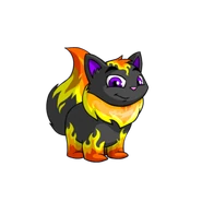 Fire Wocky