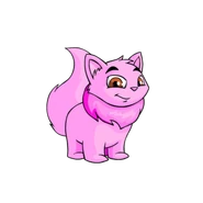 Pink Wocky