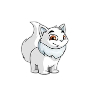 White Wocky