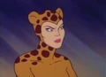 Cheetah Super Friends