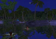 Castaway Beach at night
