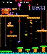 Donkey Kong Jr