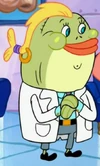 Plasticsurgeon
