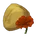 Volcanic Plant Seed
