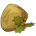 Gorsegoyle Seed