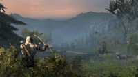 Frontier Landscape