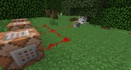 Command Block Output