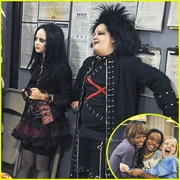 Ant-farm-performants