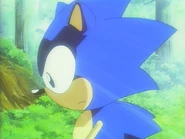 Sonicwonder