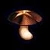Shiitake