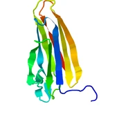 2LRG