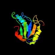 1O0P.pdb