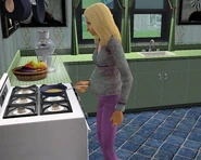 Pregnant Sim 2