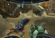 Beta sandigger