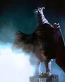 2004Rodan