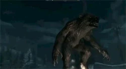 Werebear