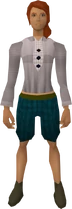 Bob shirt equipped