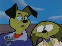 Lucky and Cadpig seasick