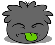 Black Puffle (14)