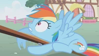 Rainbow Dash "Wait!" S01E04