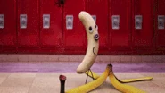 Banana Peel