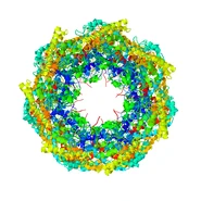 3CAU.pdb