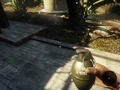 Bleeb Bomb 1231.jpg