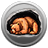 Hibernation