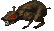 DaggerfallRat.gif (9 KB) DaggerfallRat