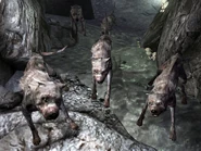 Vicious dogs Warren
