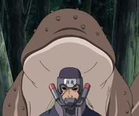 Ibuse02