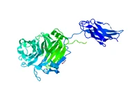4FTD.pdb
