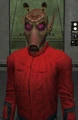 AnnorFash.jpg